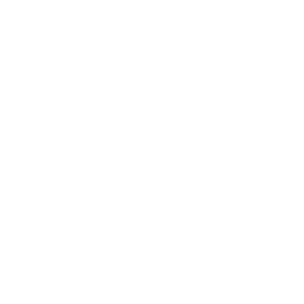 Logo Propoint